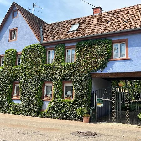 Schoenbachhof Silz  Екстер'єр фото